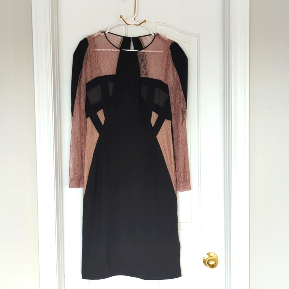 MaxAzria Runway Johanna Dress